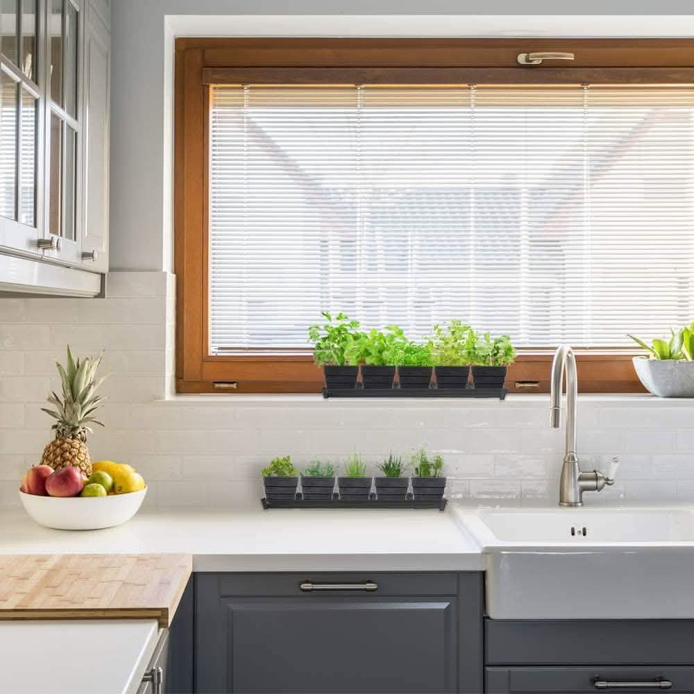 Windowsill Garden Herb Kit DailySale