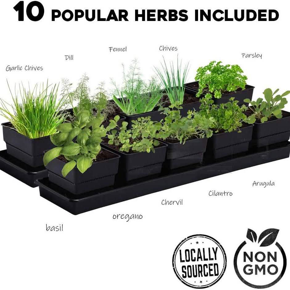 Windowsill Garden Herb Kit DailySale