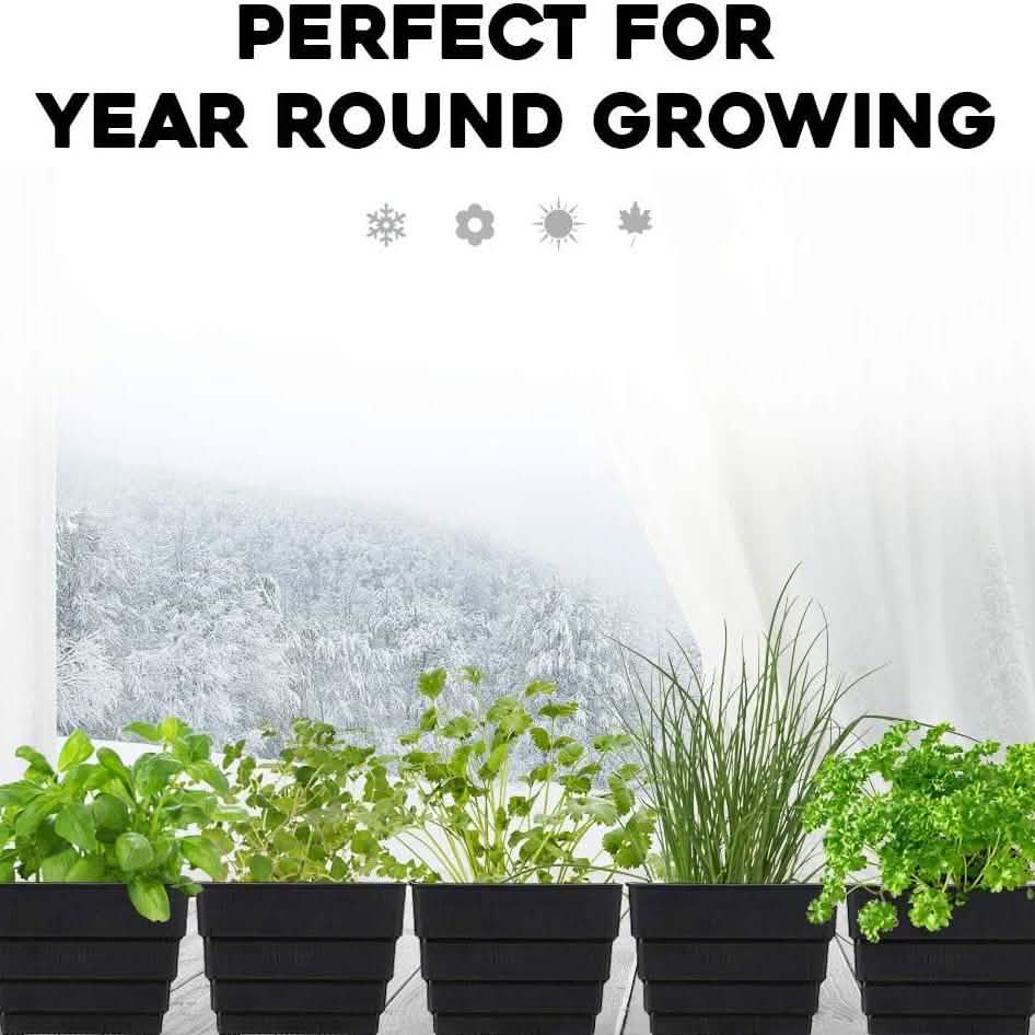 Windowsill Garden Herb Kit DailySale