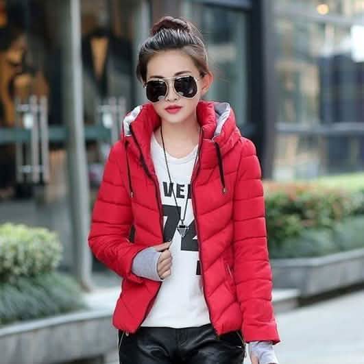 Winter Jacket Women Parka Thick Winter Outerwear DailySale