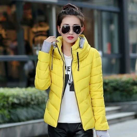 Winter Jacket Women Parka Thick Winter Outerwear DailySale