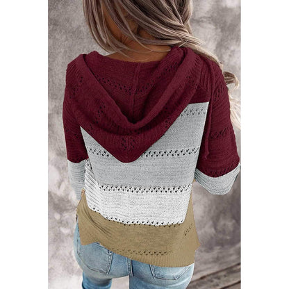Women Casual Long Sleeve Zip Up Hooded Sweatshirt Hoodies DailySale