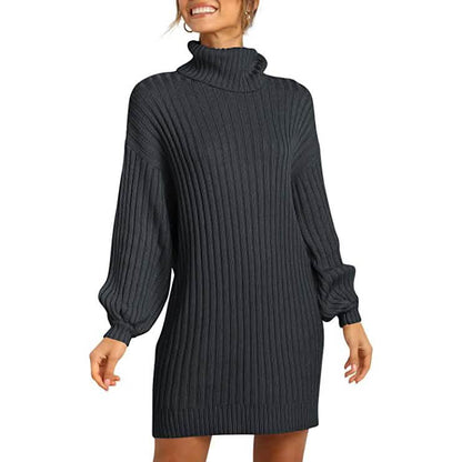 Women Turtleneck Long Lantern Sleeve Casual Loose Oversized Sweater Dress DailySale