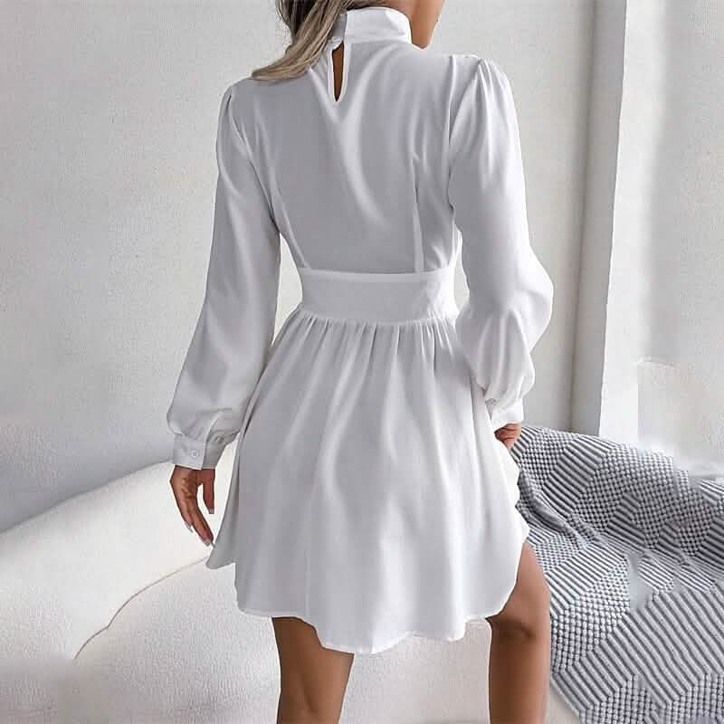 Women's A Line Turtleneck Mini Dress DailySale