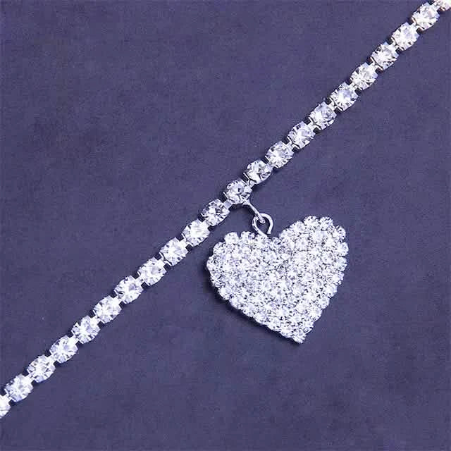 Women's Ankle Bracelet DailySale