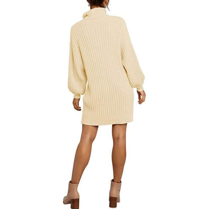 Women's Turtleneck Long Lantern Sleeve Casual Loose Oversized Sweater Dress DailySale