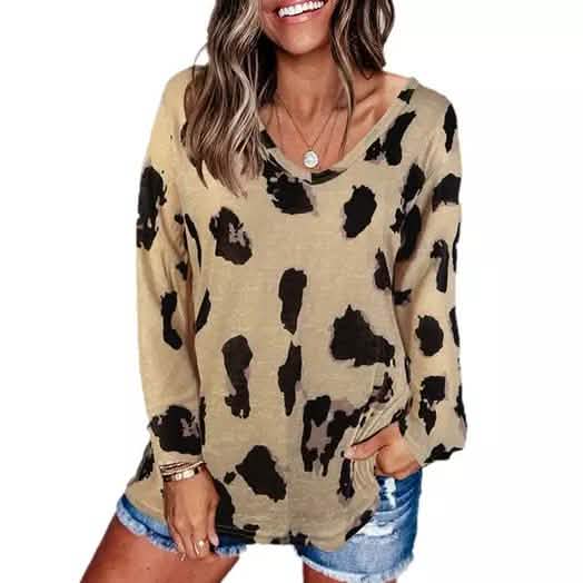Women's V-Neck Leopard Print Inspired Top DailySale