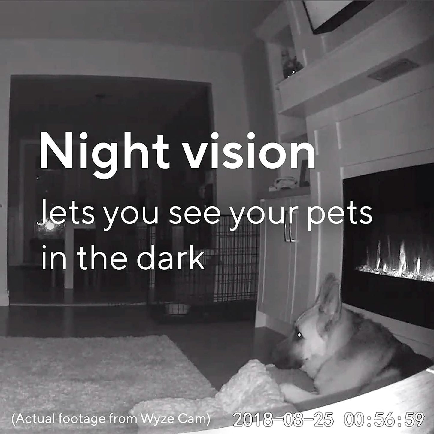 Wyze Cam V2 (Refurbished) DailySale