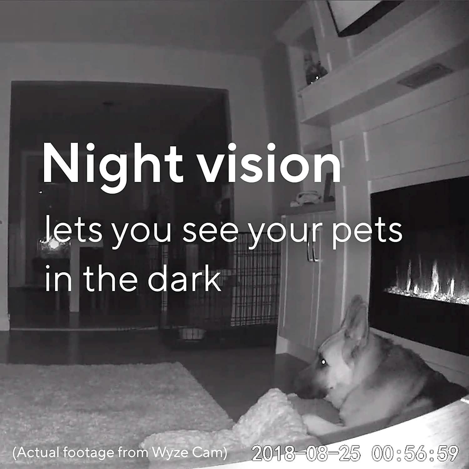 Wyze Cam V2 (Refurbished) DailySale