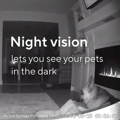 Wyze Cam V2 (Refurbished) DailySale