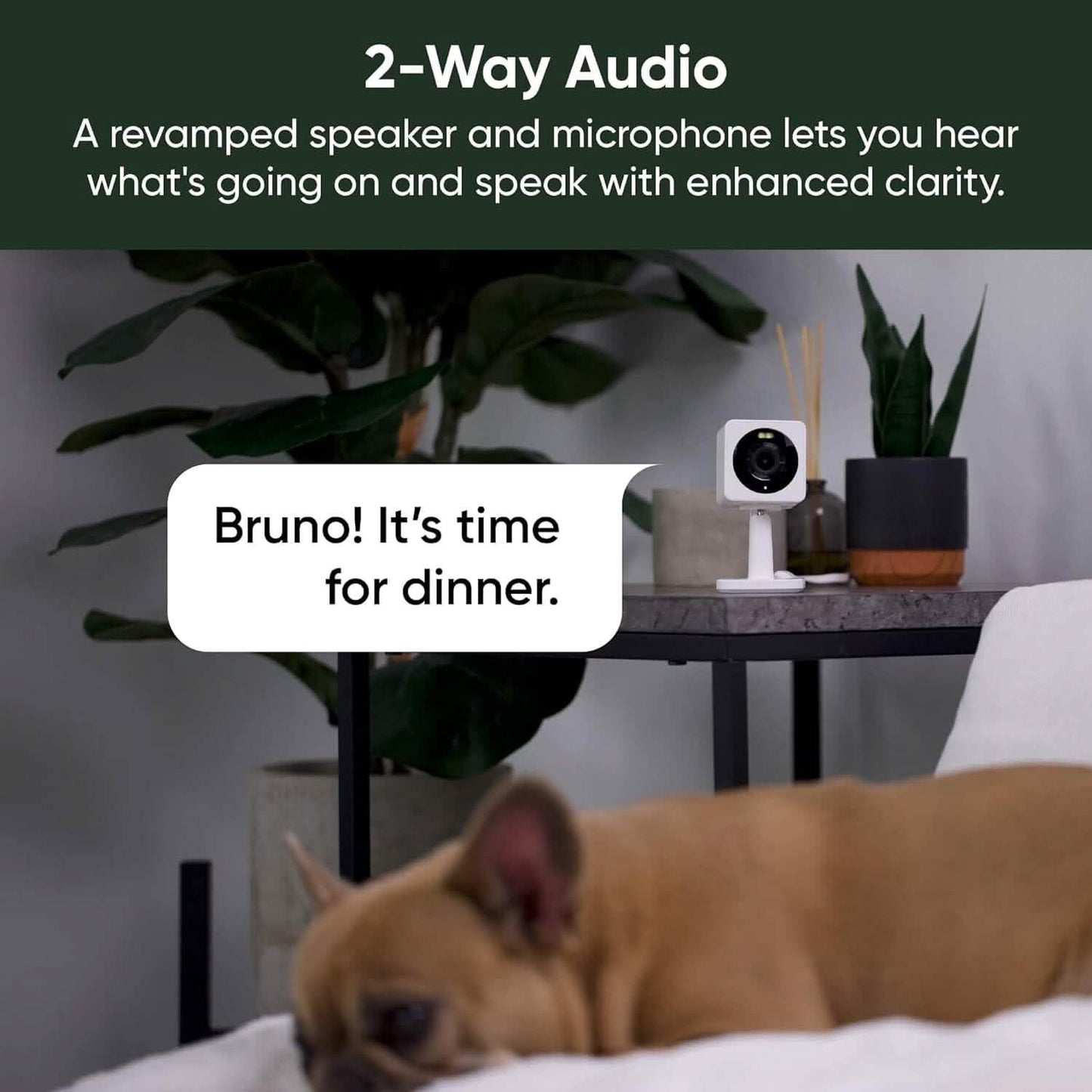 WYZE Cam OG 1080p HD Wi-Fi Security Camera  (Refurbished) DailySale