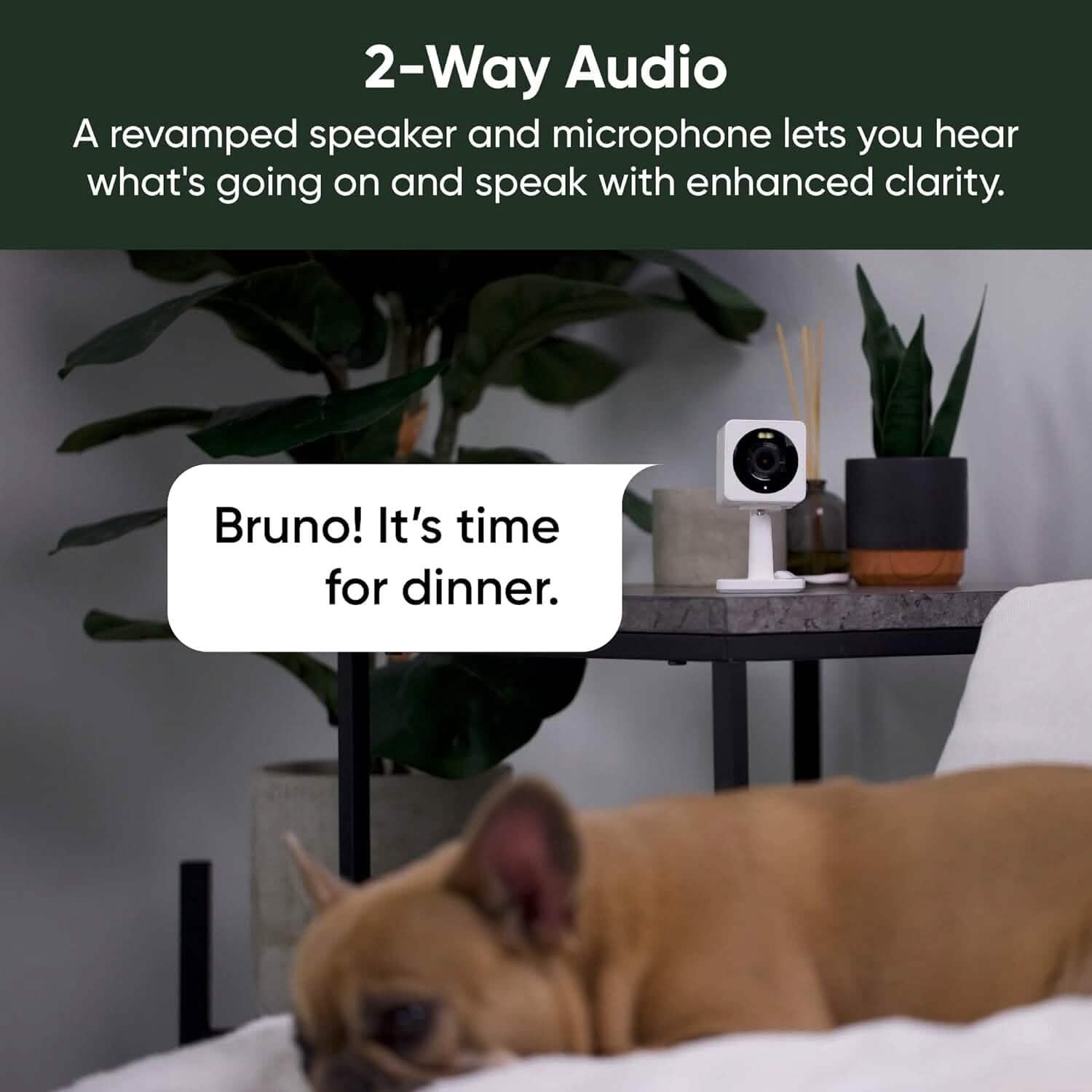 WYZE Cam OG 1080p HD Wi-Fi Security Camera  (Refurbished) DailySale